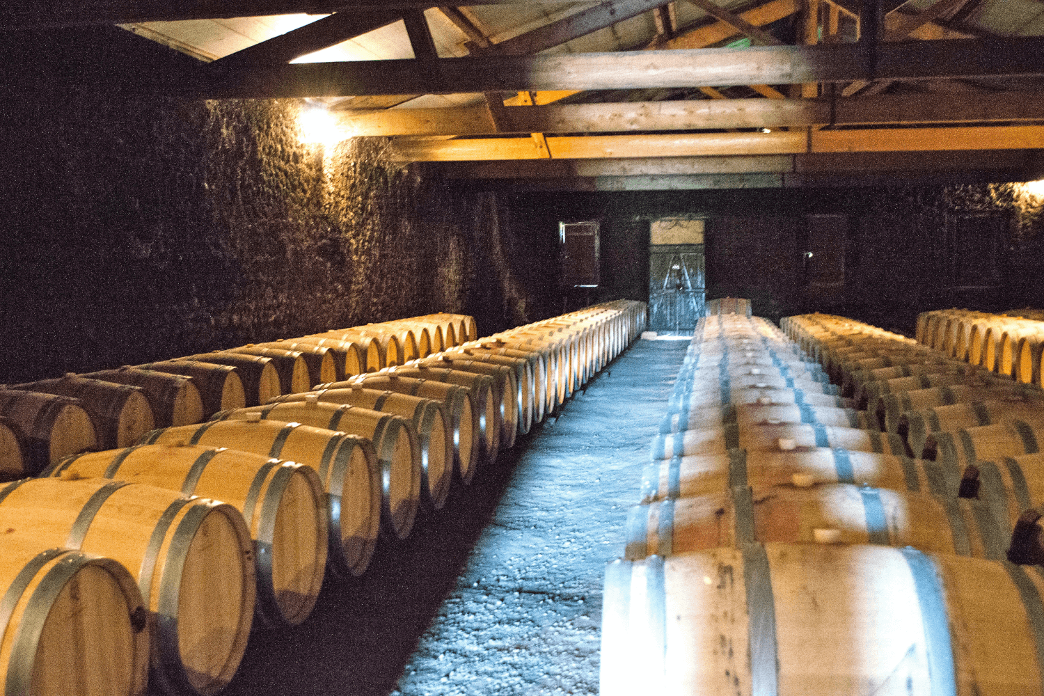 Knacks wijncruise naar Bordeaux